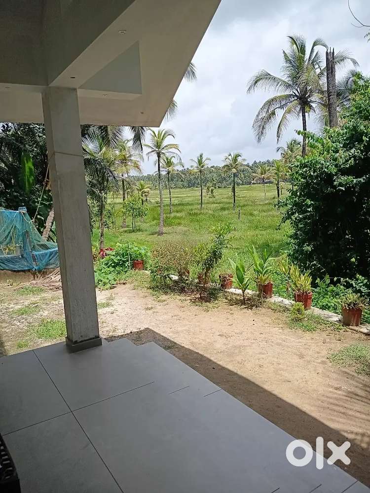 A beautiful property facing paddy field and 10ft private road