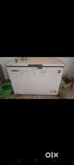 D Freeze for sale