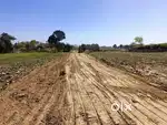 Kushinagar hetimpur मार्केट से 1 km duri पर प्लॉट है