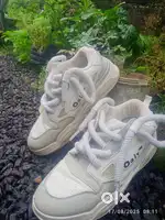 Brand Oggy shoe