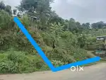 Commercial plot