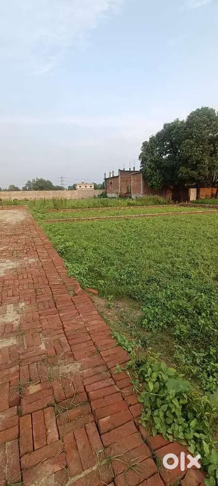 Gorakhpur gahira me plot hai