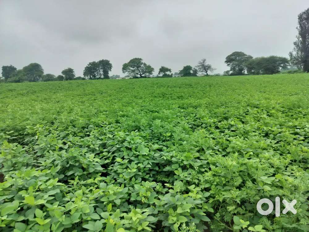 बागायती जमीन 1 एकर विकणे आहे