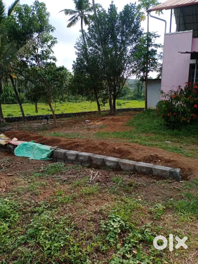 10/05 cent house plot for sale near Perumbavoor