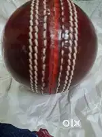 SG SHIELD BALK