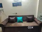 Sofa cum bed