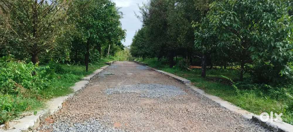 ANGAMALY KARUKUTTY NEAR BY 5, 6,8, 10 CENT PLOTS AVAILABLE