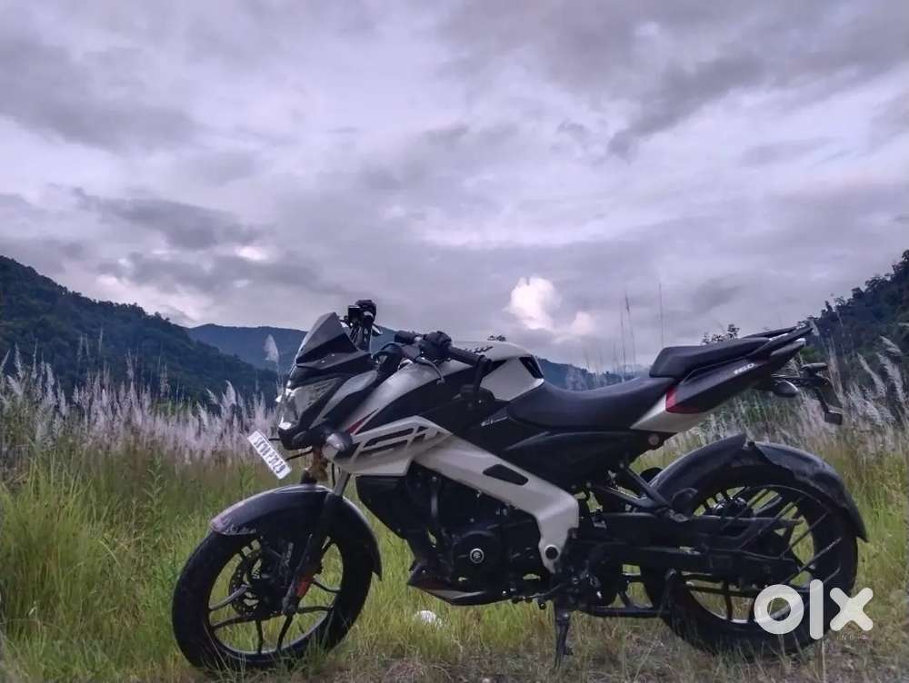 All documents are up-to-date and well maintained