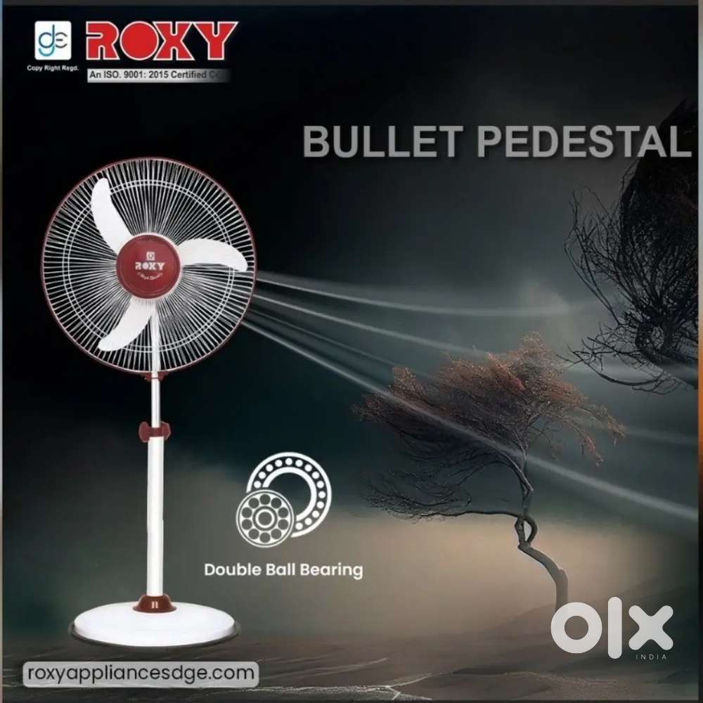 Stand fan Roxy