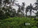 1 Acre Land for Sale – Near Highway, Bannur, Puttur