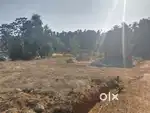 10 cents land sale, ontibettu