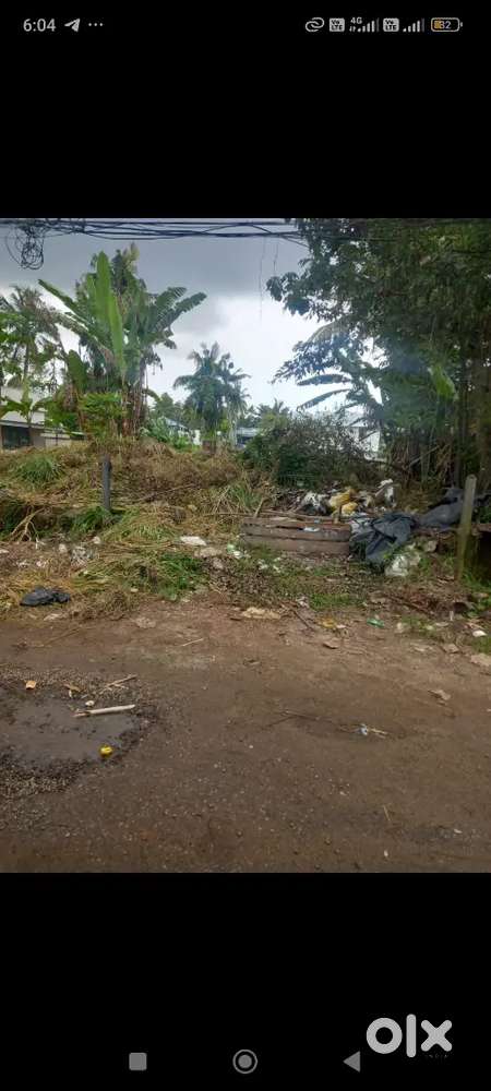 Urgent Sale 4cent roadside plot in Mankandeswaram