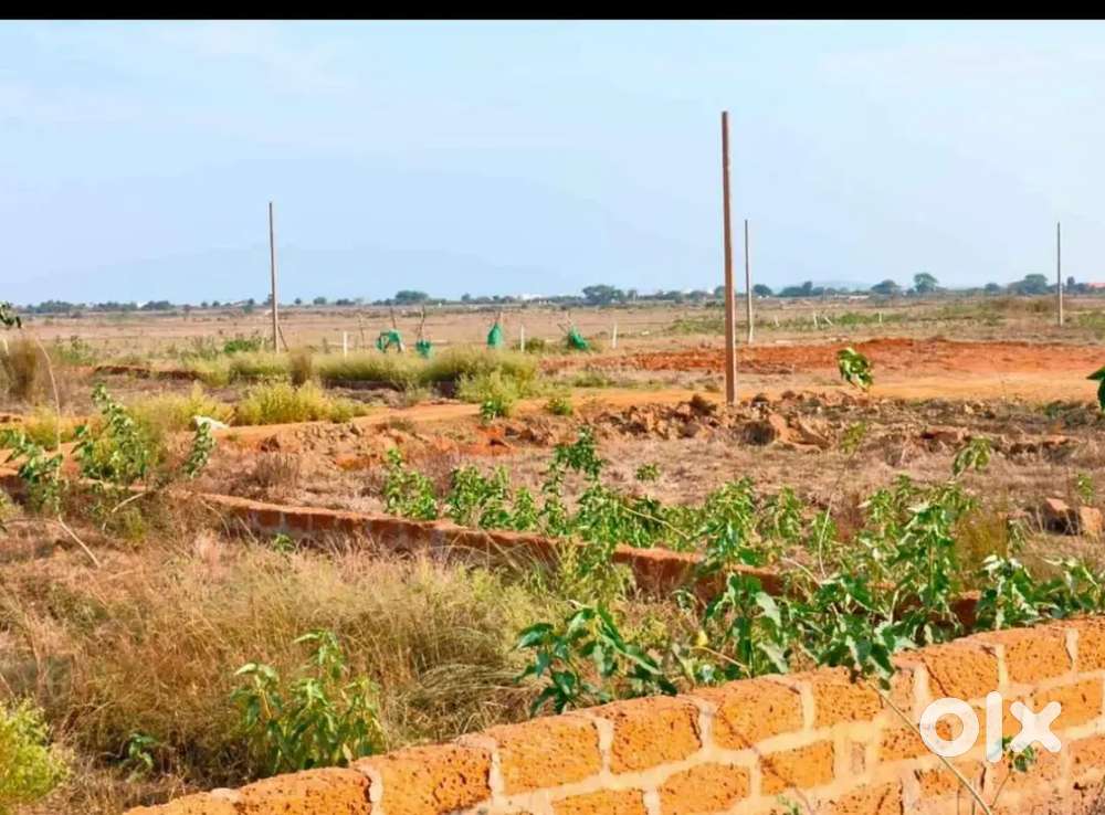 Allms hospital back side