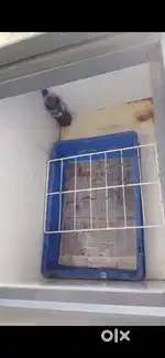 Deep freezer