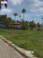 Land for HOSPITAL/SCHOOL PROJECTS at Panangadu,Ernakulam