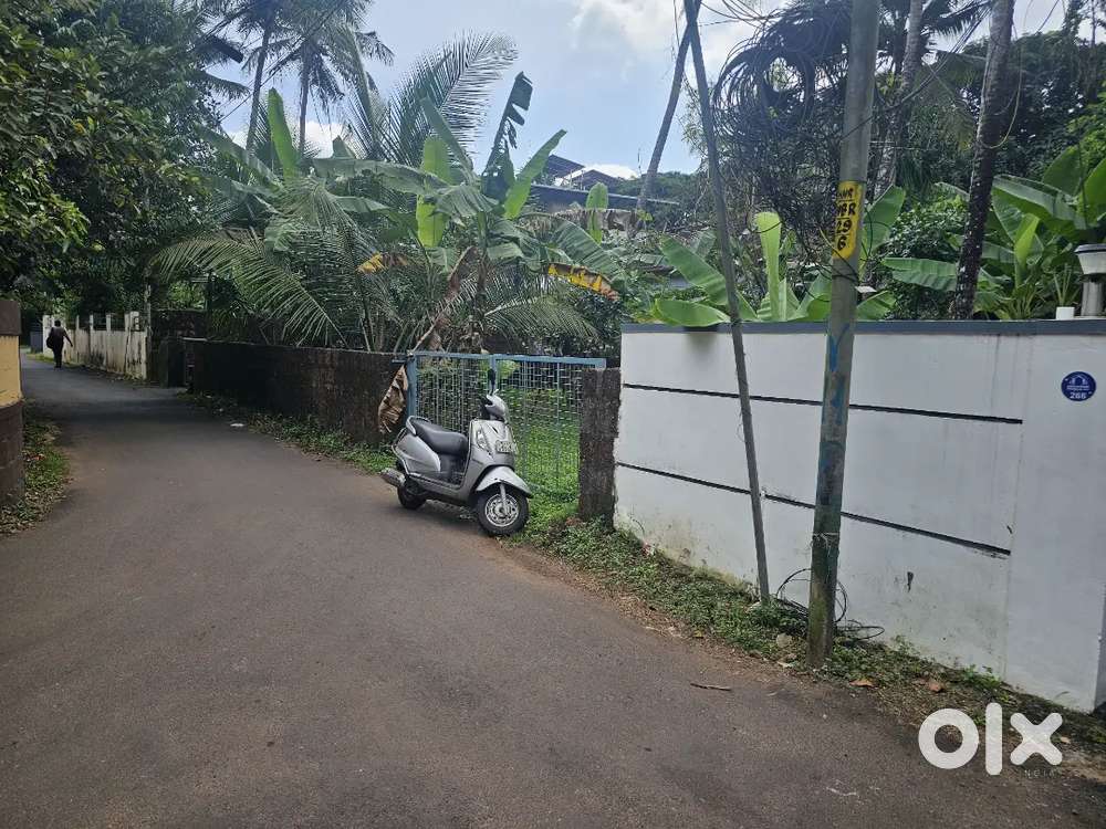 8 CENT PREMIUM HOUSE PLOT - ARAYALTHARA NR KANNUR TOWN - 7.5 LAKH