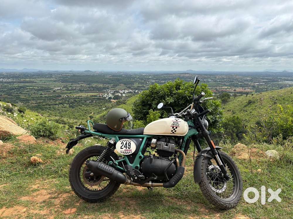 Bear 650 limited colour