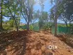Plots for sale in Priol Mardol Goa @17000/sqm