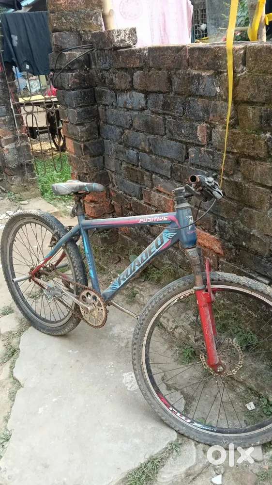 Renger cycle at 2999