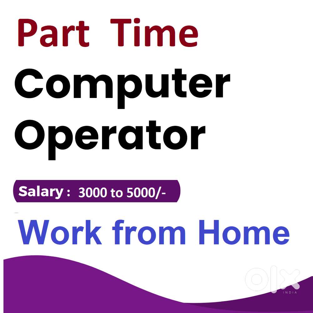 Need Part time Computer Operator , Work from home 2-3 hours
