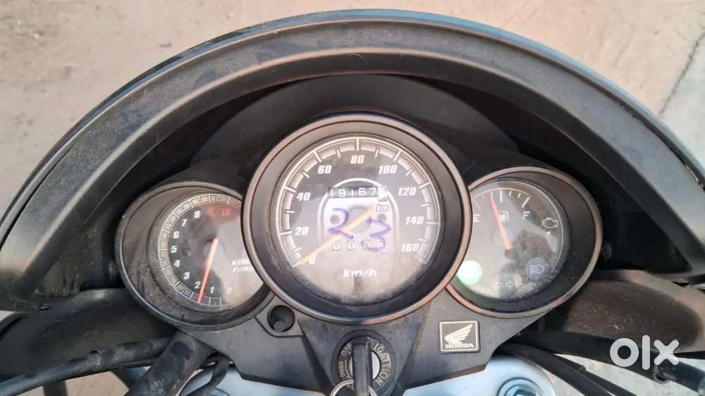 Unicorn january 2024