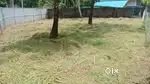 RESIDENTIAL PLOT FOR SALE, NORTH OF VELLIYAKULAM