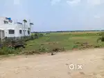 Nadra , Ananda Rice mill. Aswthagaria