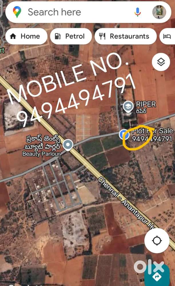 Opp. RIPER PHARMACY COLLEGE