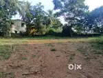 4.30 cents land close to main road kumpala thokottu Mangalore Karnatak