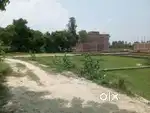 Fresh Plot