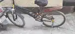 Best cycle