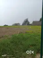 Gardening  man