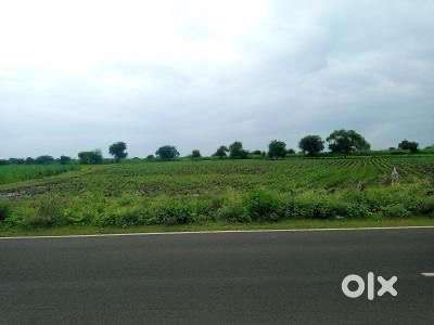 Bavlu kadi road agriculture farm near ahmedabad