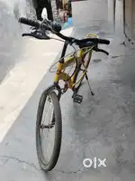 1 year old cycle