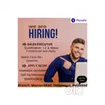Phone pe sound box and scanner sale