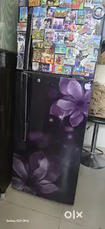 Double door linear inverter fridge