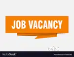 WE ARE HIRING FRESHER AND EXEPERIENCE CANDIDATES EXECUTIVE