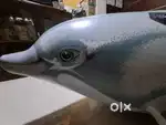 Swimming dolphin