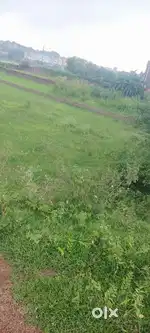 Gopinathpur mauja thana jaridih