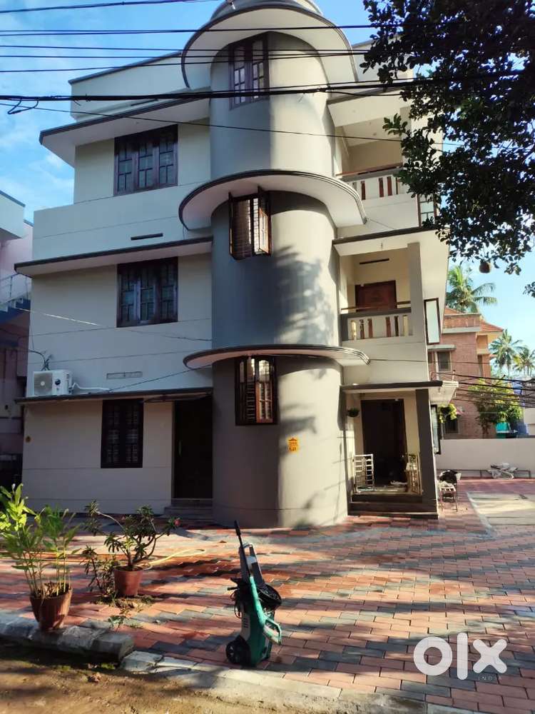 Single Room for Rent