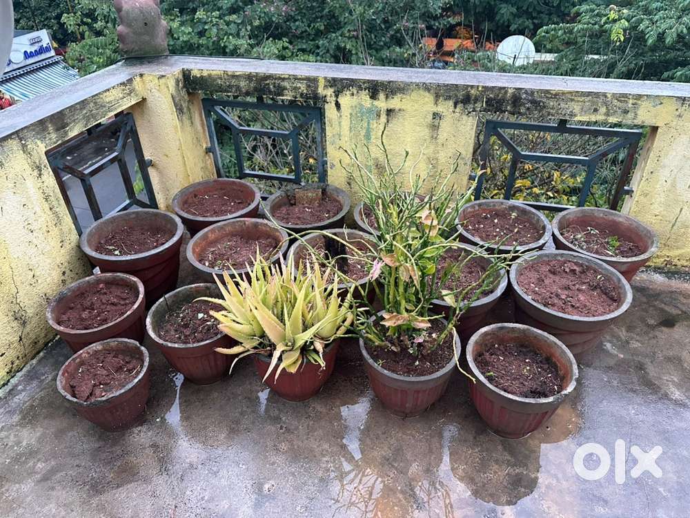 Concrete pots