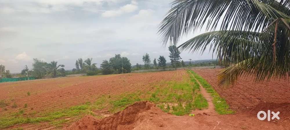 Land for sell on Devanahalli STRR NH 207