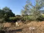 500 square yard, JDA, West, Residential plot for sale at Jagatpura