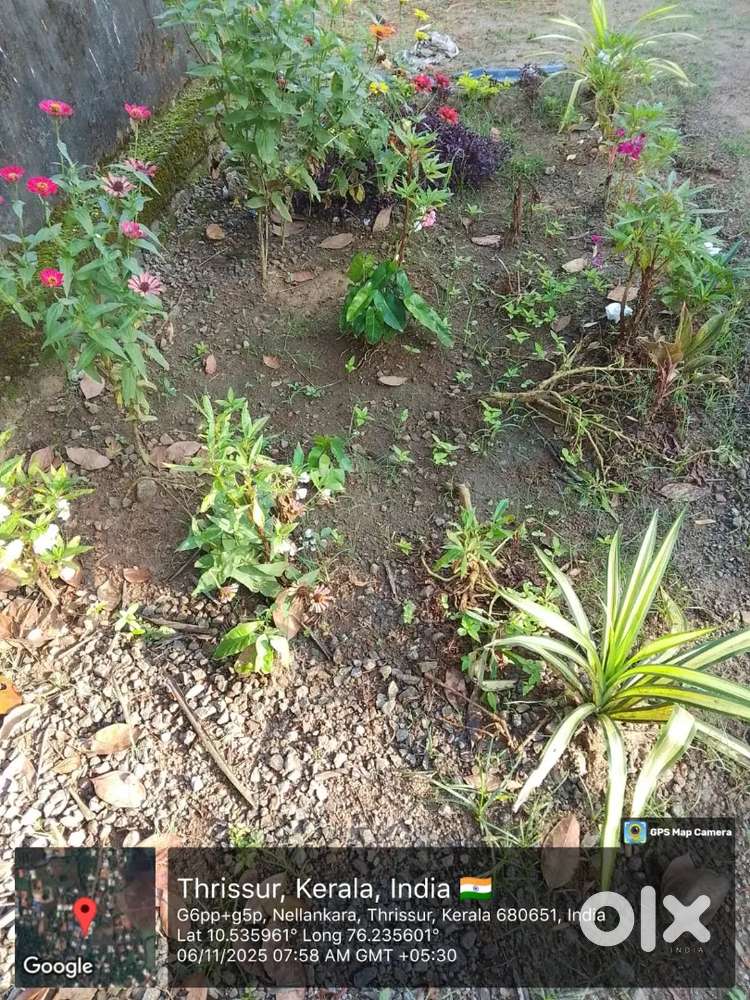 Good house for rent kallikkadu