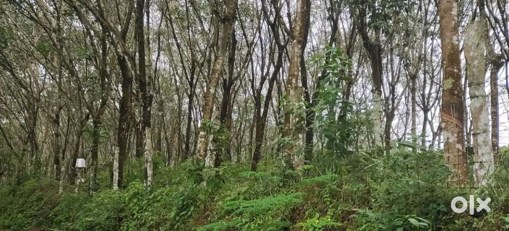 1.5 acre land for sale