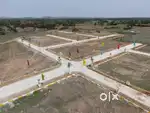Plots selling