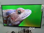 43 INCH SMART ANDROID LEDTV WITH WARRANTY 2 YEAR WHOLESALE