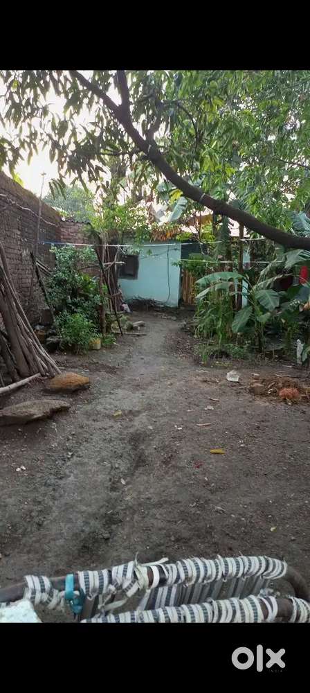 House with large empty area