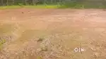 വസ്തു വില്പനക്ക്