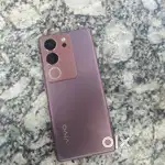 Vivo V29 8/256